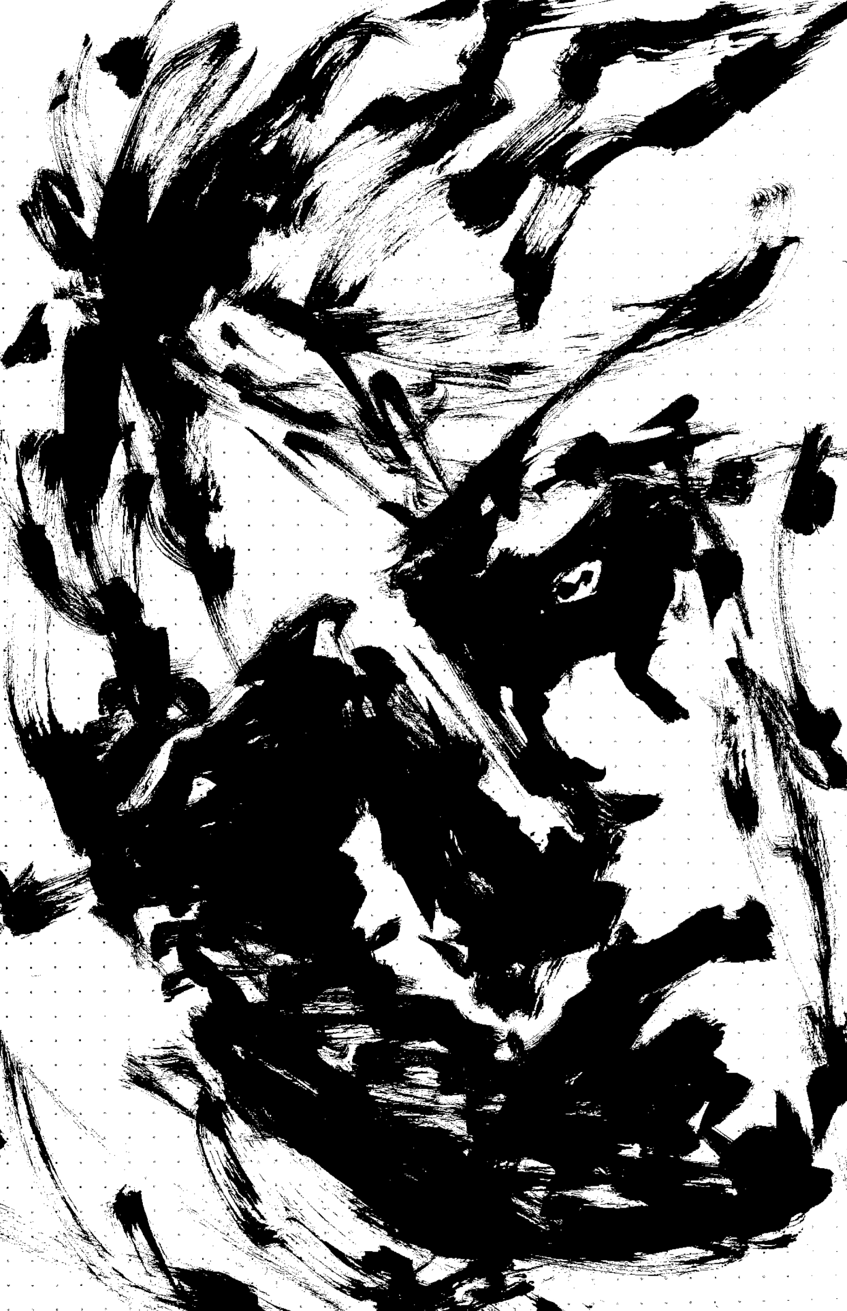 20241007175245223.jpg